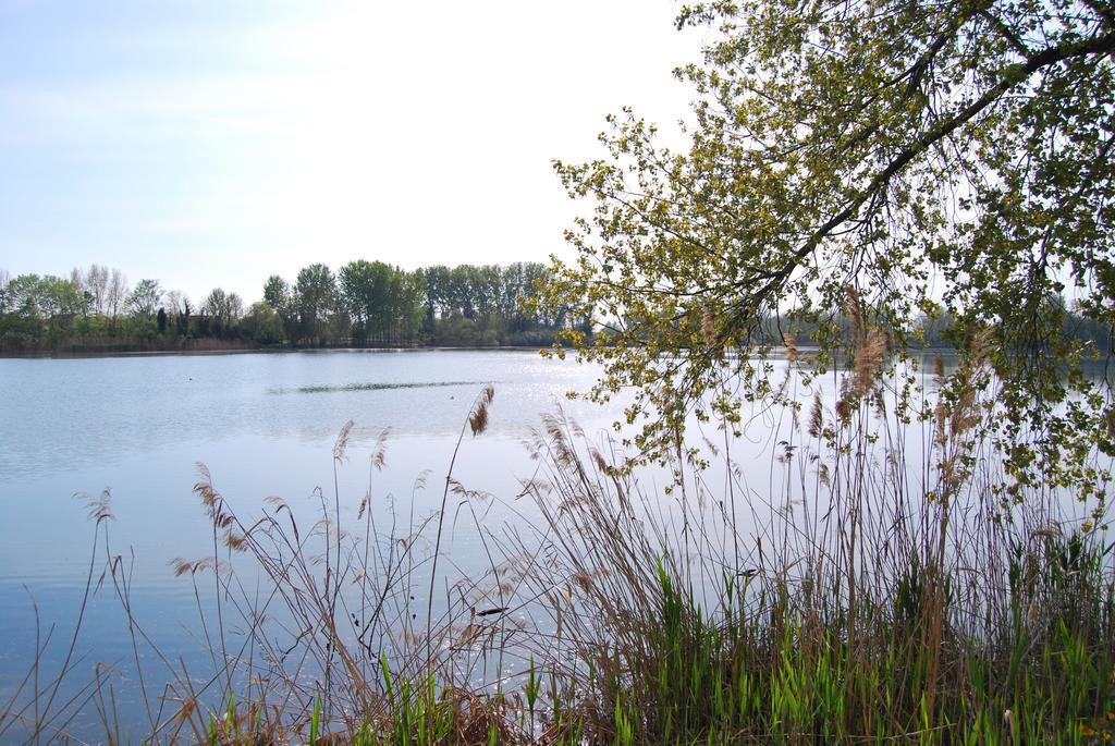 Villa Milu Quinto Di Treviso Zewnętrze zdjęcie